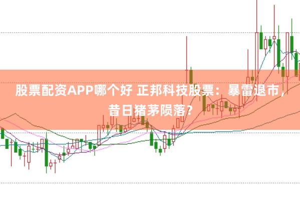 股票配资APP哪个好 正邦科技股票：暴雷退市，昔日猪茅陨落？