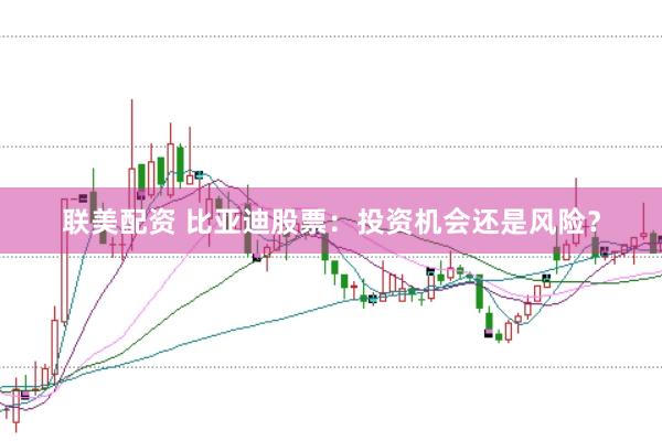联美配资 比亚迪股票：投资机会还是风险？