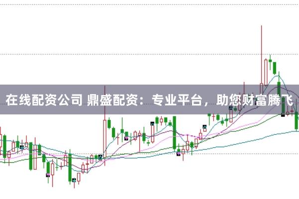 在线配资公司 鼎盛配资：专业平台，助您财富腾飞