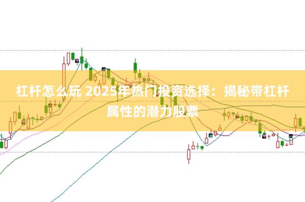 杠杆怎么玩 2025年热门投资选择：揭秘带杠杆属性的潜力股票