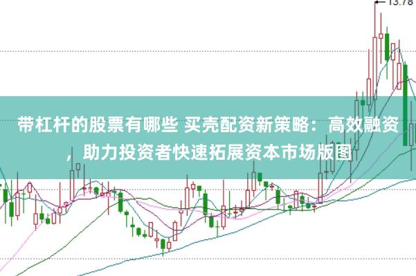 带杠杆的股票有哪些 买壳配资新策略：高效融资，助力投资者快速拓展资本市场版图