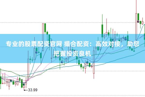 专业的股票配资官网 撮合配资：高效对接，助您把握投资良机