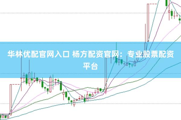 华林优配官网入口 杨方配资官网：专业股票配资平台