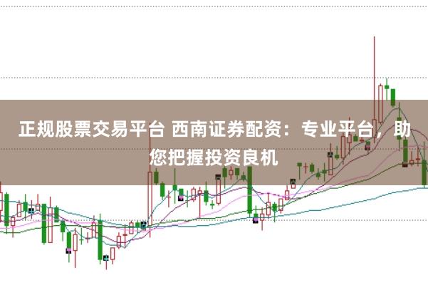 正规股票交易平台 西南证券配资：专业平台，助您把握投资良机