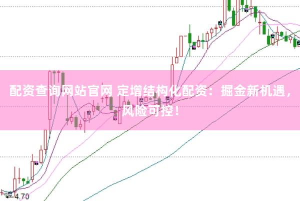 配资查询网站官网 定增结构化配资：掘金新机遇，风险可控！