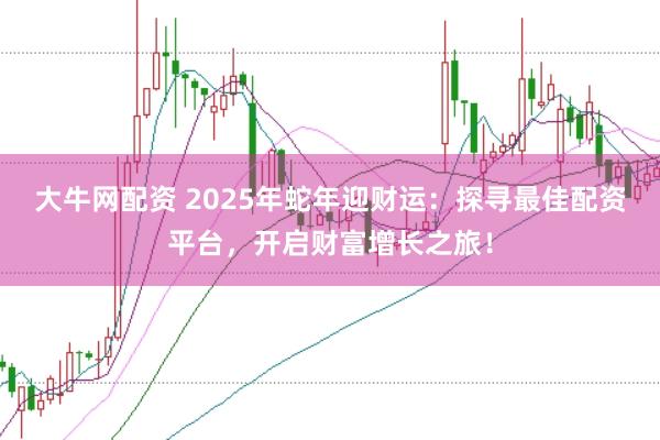 大牛网配资 2025年蛇年迎财运：探寻最佳配资平台，开启财富增长之旅！