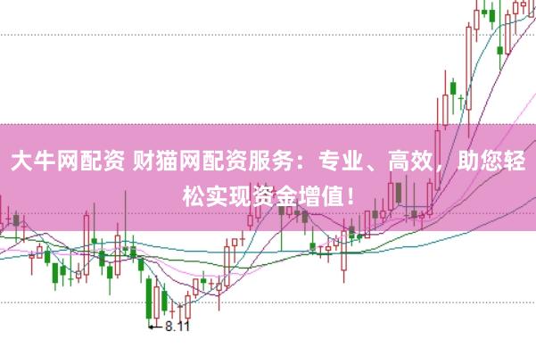 大牛网配资 财猫网配资服务：专业、高效，助您轻松实现资金增值！