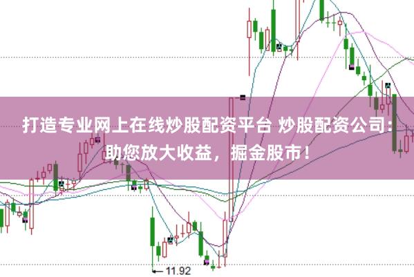 打造专业网上在线炒股配资平台 炒股配资公司：助您放大收益，掘金股市！