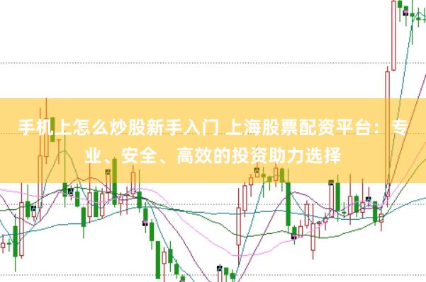 手机上怎么炒股新手入门 上海股票配资平台：专业、安全、高效的投资助力选择