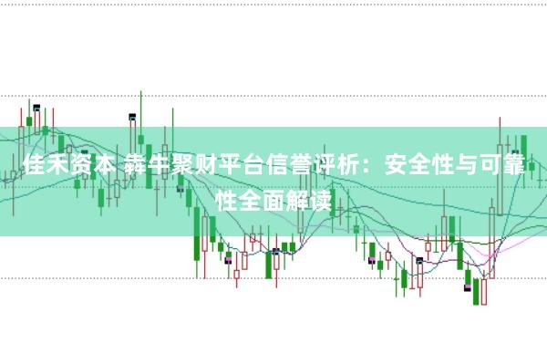 佳禾资本 犇牛聚财平台信誉评析：安全性与可靠性全面解读