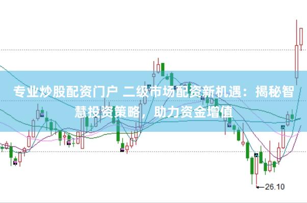 专业炒股配资门户 二级市场配资新机遇：揭秘智慧投资策略，助力资金增值