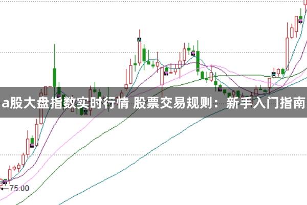 a股大盘指数实时行情 股票交易规则：新手入门指南