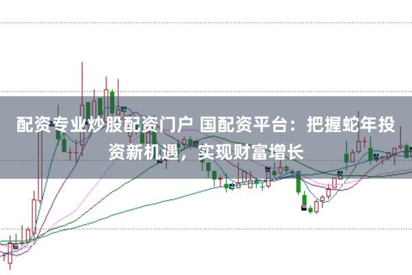 配资专业炒股配资门户 国配资平台：把握蛇年投资新机遇，实现财富增长