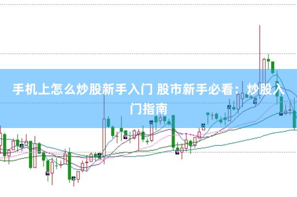手机上怎么炒股新手入门 股市新手必看：炒股入门指南
