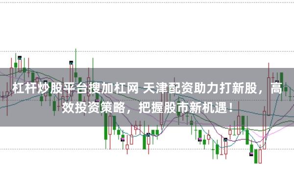 杠杆炒股平台搜加杠网 天津配资助力打新股,高效投资策略,把握股市新机遇!