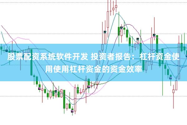 股票配资系统软件开发 投资者报告:杠杆资金使用使用杠杆资金的资金效率